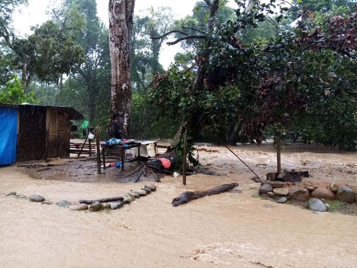 Se accidenta maquinista de excavadora, fue cubierto por un deslave. Cortizo, en medio de su cuarentena, coordina ayuda a los afectados por el mal tiempo