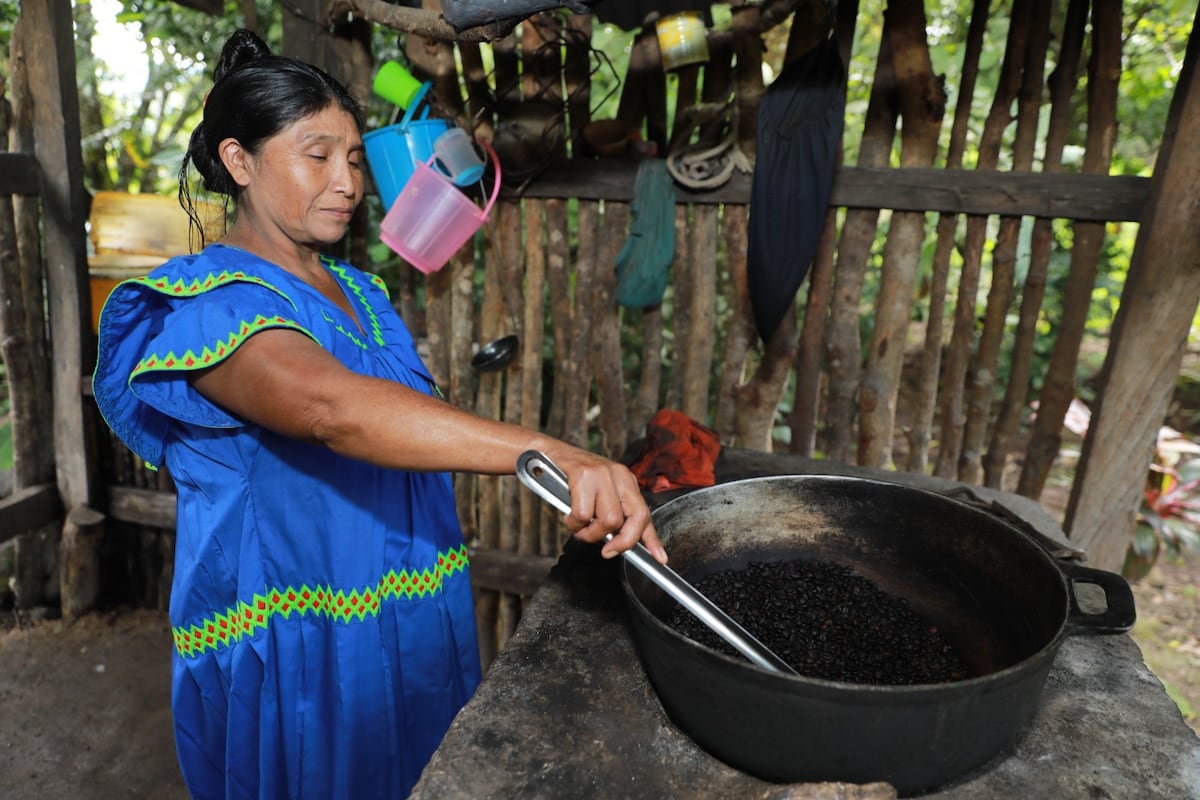De cafetales a la universidad: la historia de Ilda que está cambiando el destino de sus hijos en la comarca