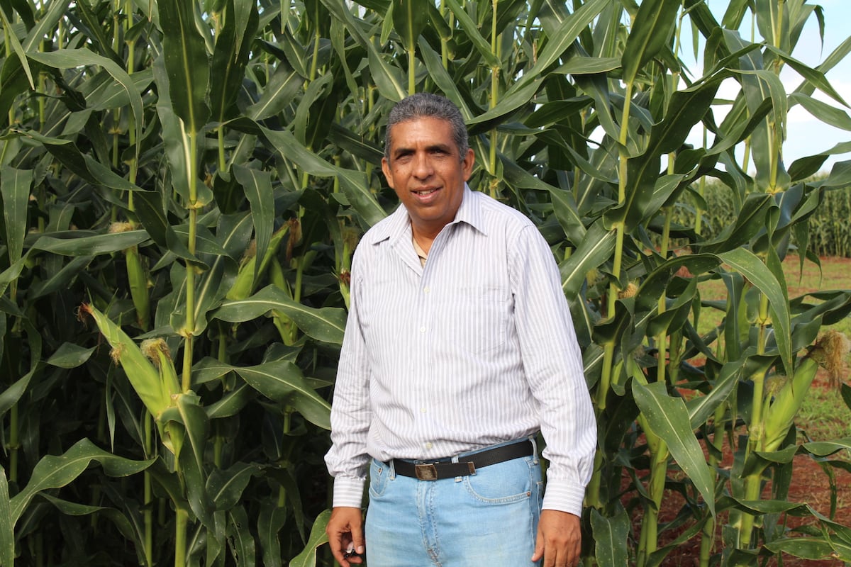  Enhorabuena. Universidad de Panamá entregará reconocimiento a Román Gordón