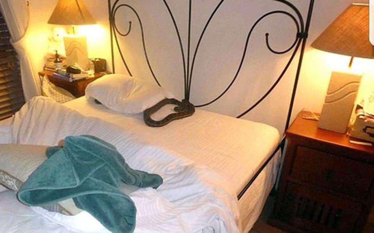 ¡HORROR! Se levantó a las 3:00 de la mañana y se encontró una terrible sorpresa