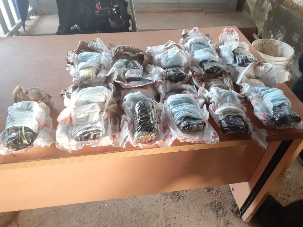 Se presume sea ‘crispi’, Lo incautado estaba envuelto dentro de pañales desechables