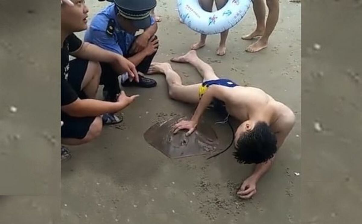 ¡Auch! Una mantarraya le agarró el miembro mientras se bañaba en la playa| VIDEO