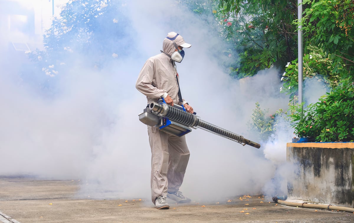 Hospitalizaciones bajan 24% pero hay 3,345 casos acumulados de dengue en Panamá
