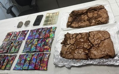 No pudieron disfrutar los ‘happy brownies’ porque quedaron aprehendidos: así fue la Operación Delta 9