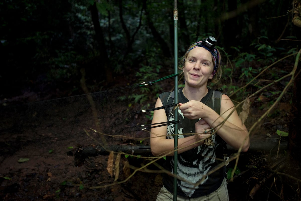 Smithsonian: ‘el ADN en el excremento de murciélago de labios con flecos revela hábitos alimenticios inesperados’