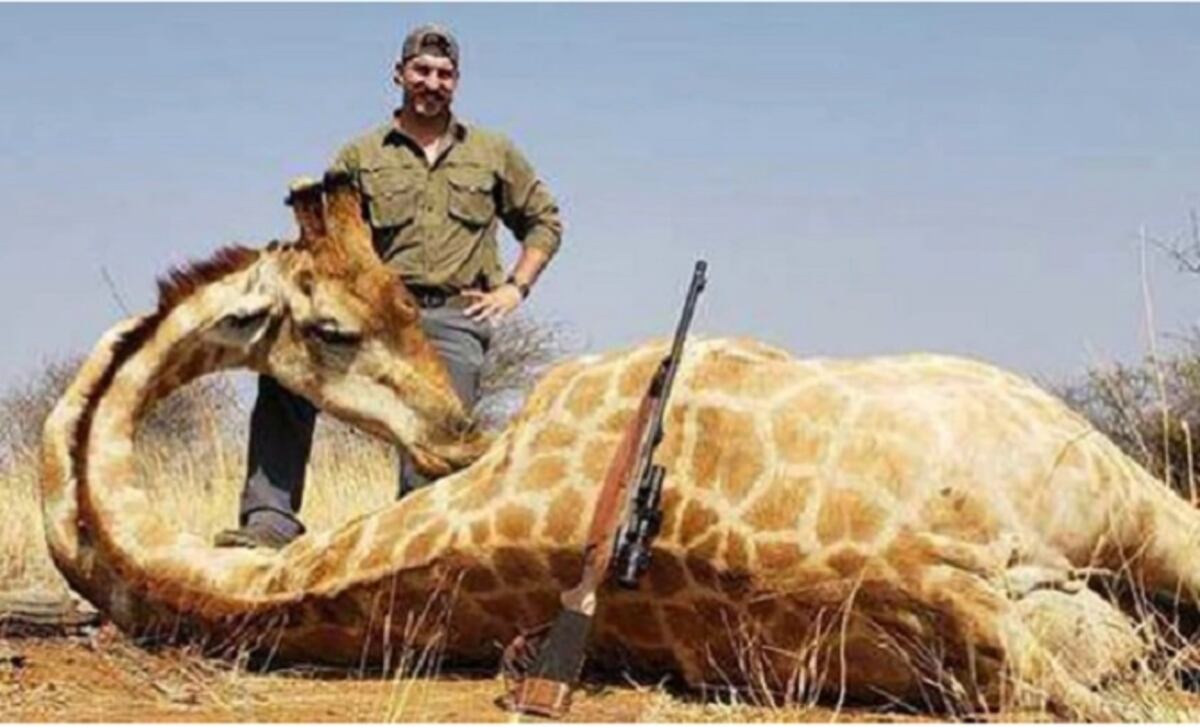 Encargado de la fauna en E.U. se fue a cazar a Namibia