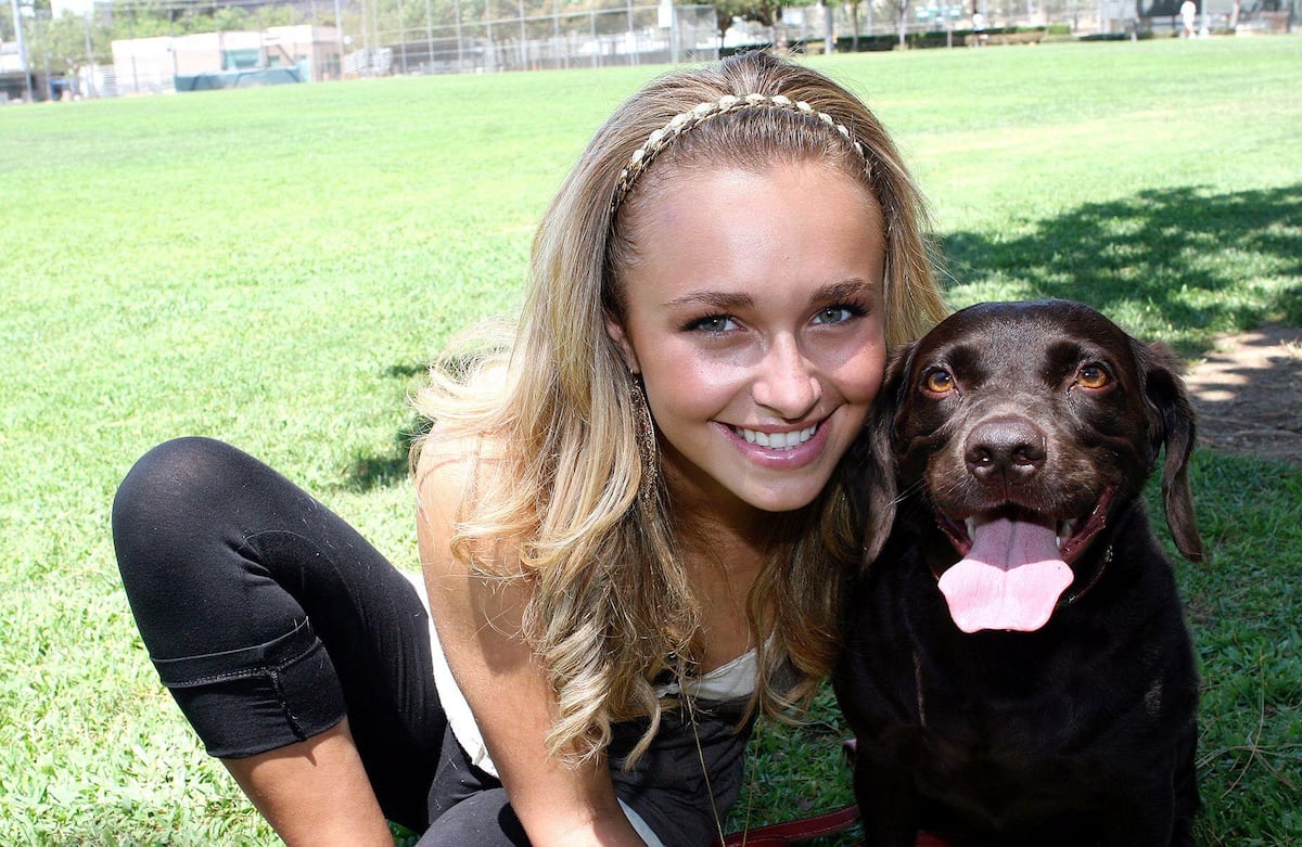 Hayden Panettiere y el hallazgo de fentanilo que esclarece su muerte