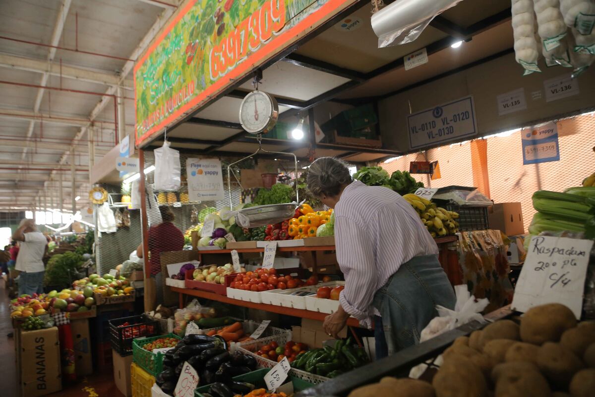 Merca Panamá cobrará electricidad a arrendatarios y servicios a productores