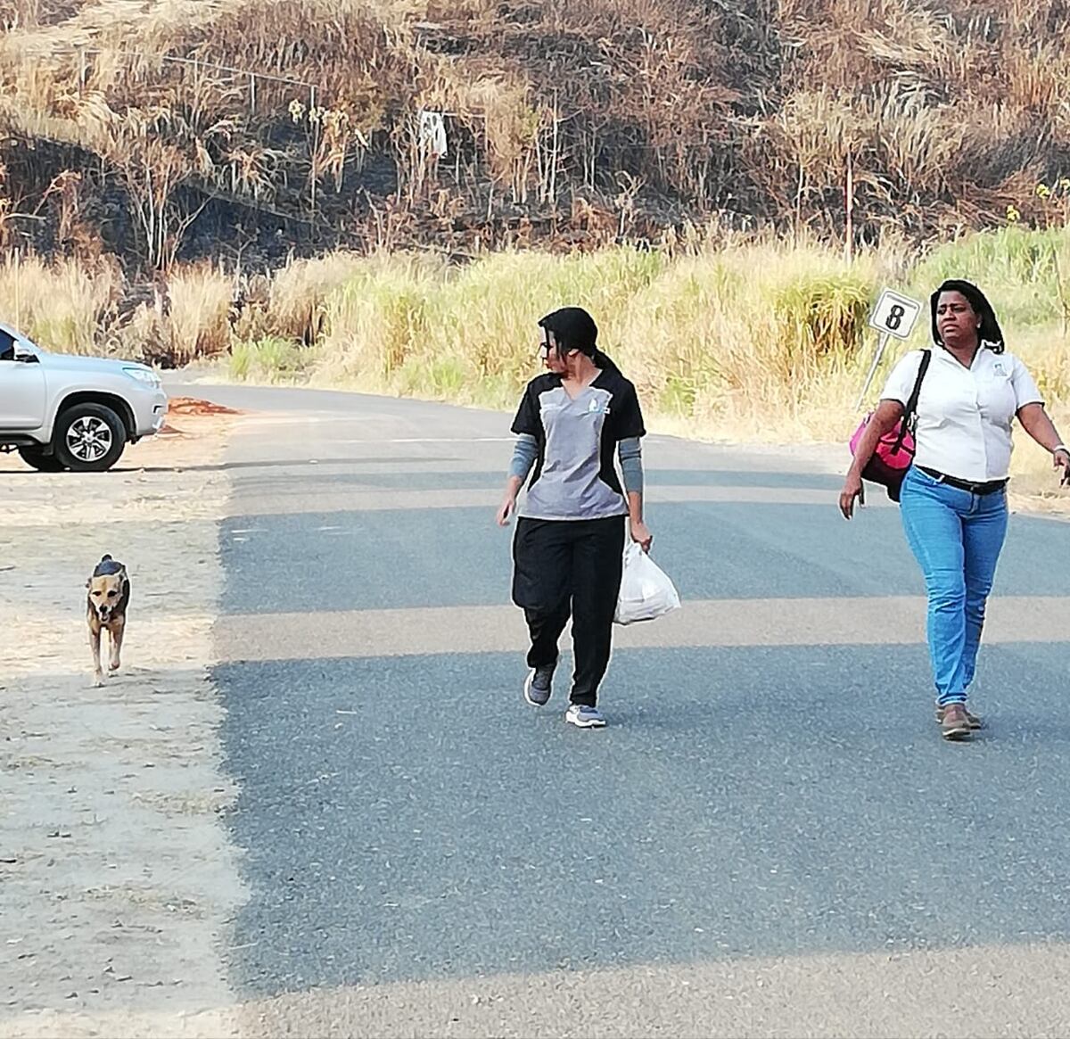 Firulay, la perra más famosa del Rod Carew, ahora tiene una nueva vida