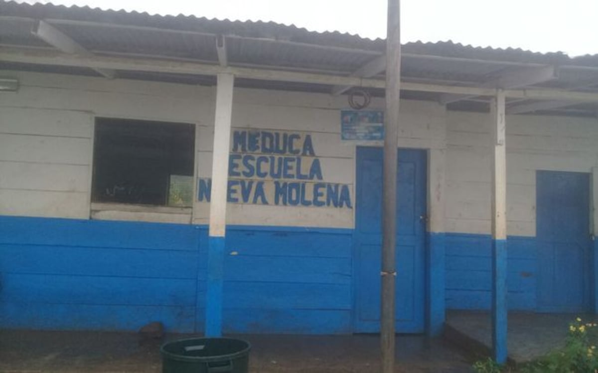 ¡LAMENTABLE! Árbol le cae a  casa de maestro en la Comarca cuando dormía 