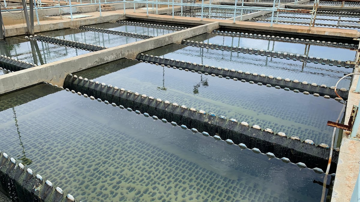 Del 24 al 29 de marzo, IDAAN anuncia cronograma de trabajos en varias zonas