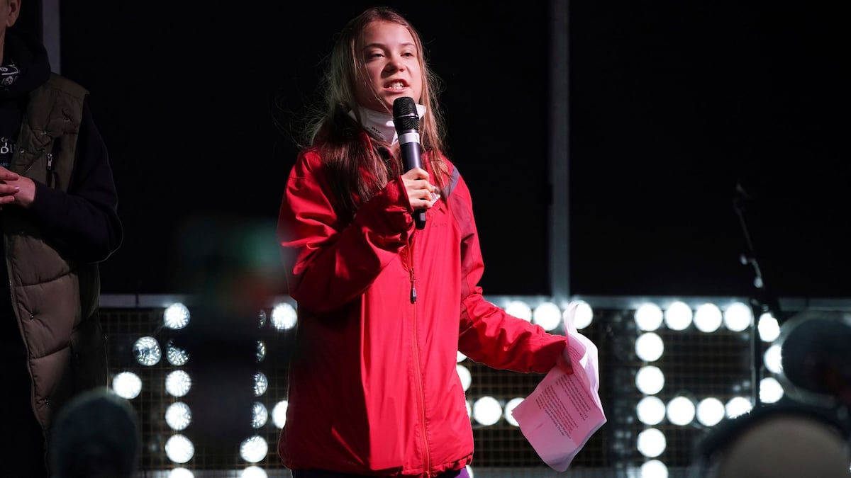 Nueva especie de rana en Panamá se llama ‘Pristimantis gretathunbergae sp. nov.’