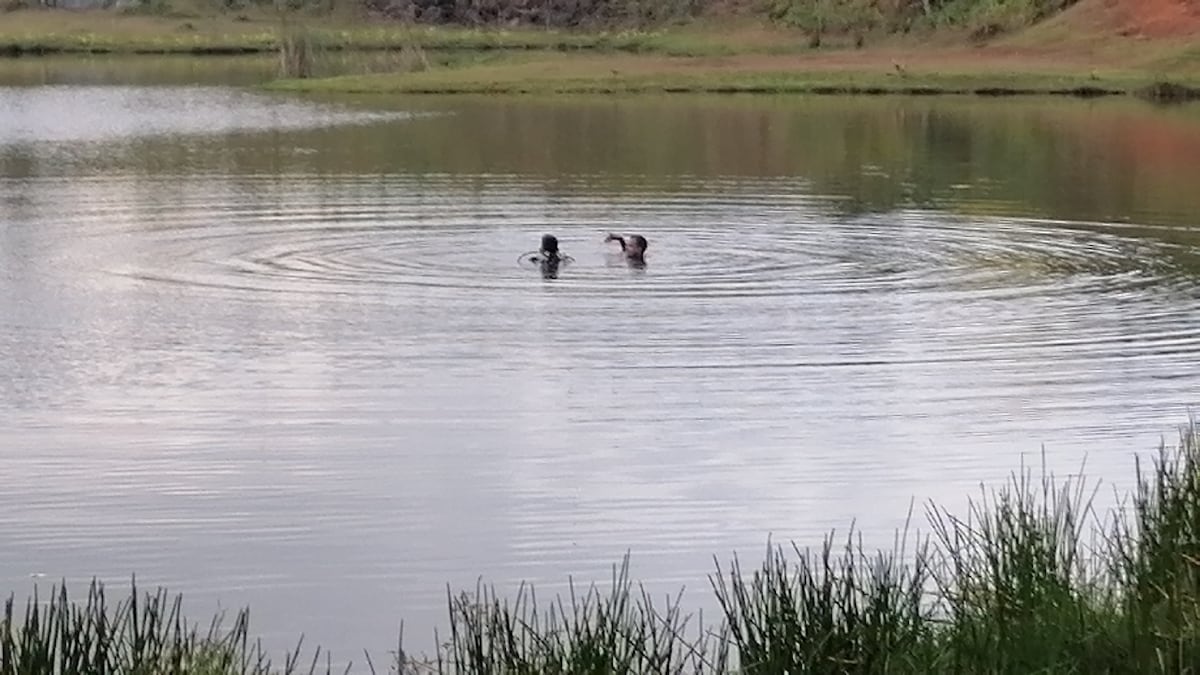 Menor se ahoga en un lago artificial de Arraiján
