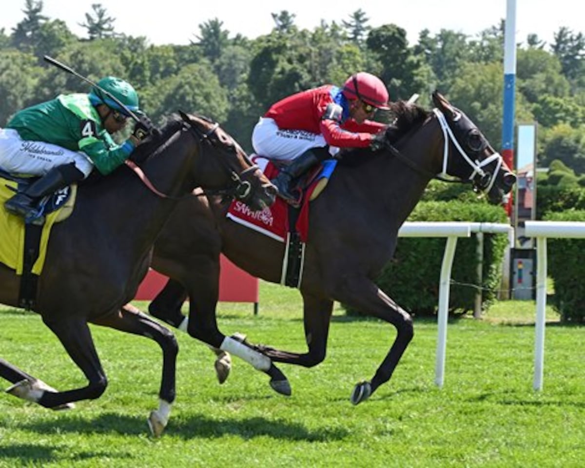 Luis Sáez llega a 4.000 victorias en EE.UU. con un triunfo emotivo en Saratoga