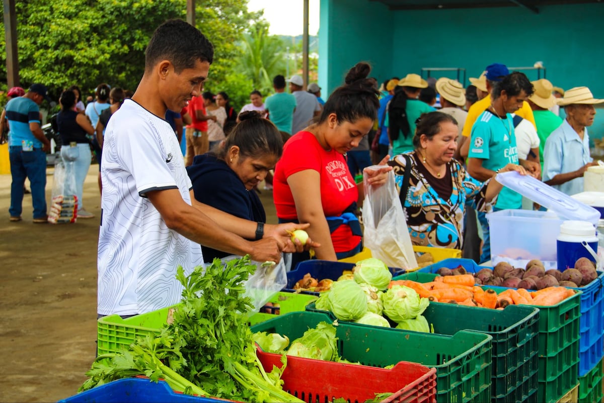 Vuelven las agroferias: comida barata regresa desde el 13 de enero