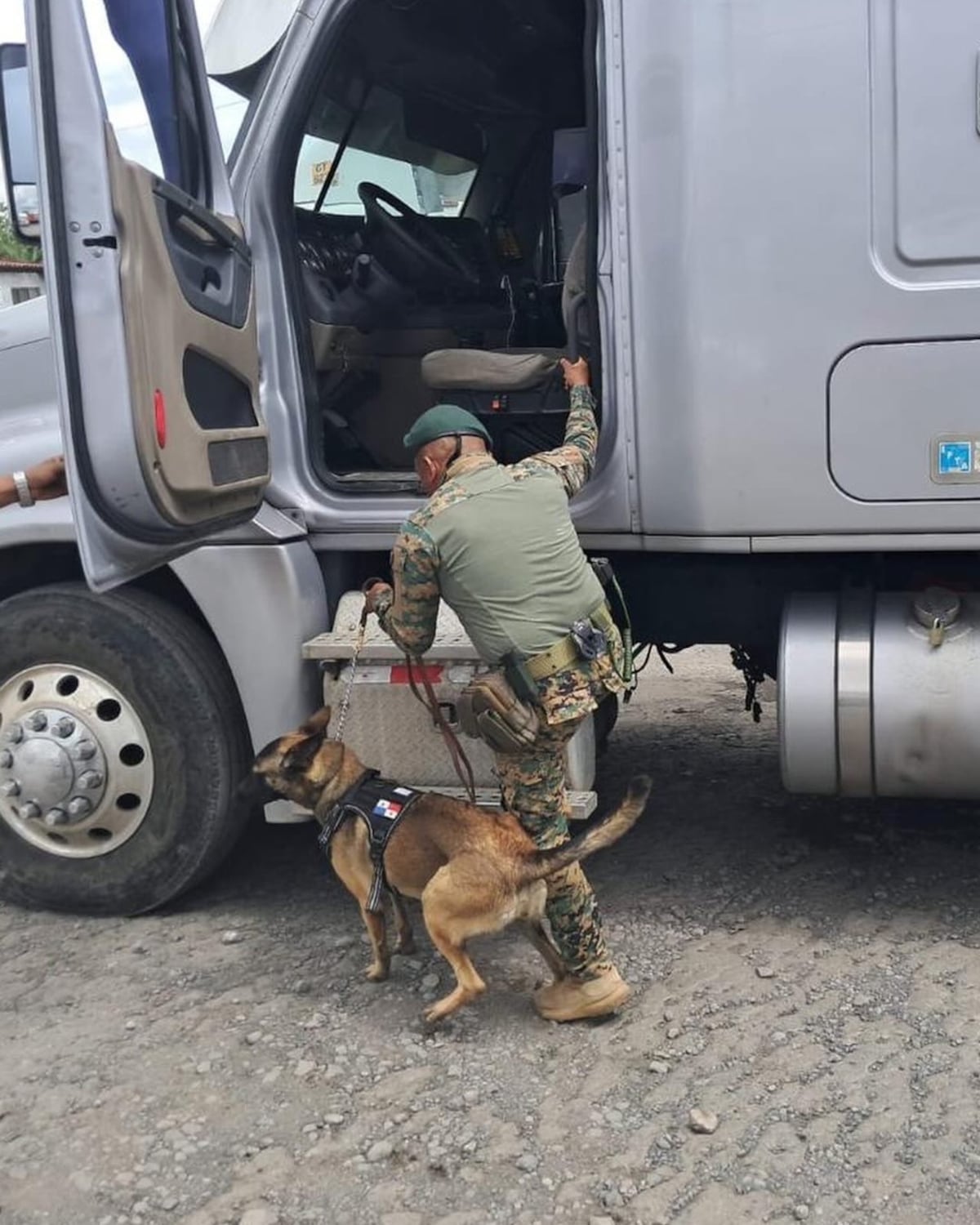 ¡Arroz clandestino a la vista! Decomisan 1,031 sacos en Bugaba