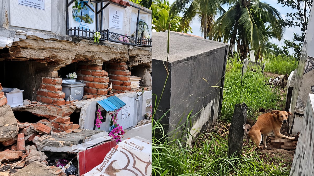 Impactantes imágenes: terremoto dejó tumbas destruidas y un perro fue captado junto a presuntos restos humanos; Ministerio de Salud inspecciona el cementerio de Soná