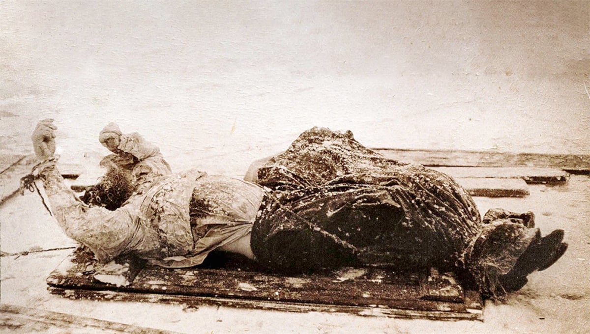 Revelan los secretos de Rasputín, el monje que alteró la historia de Rusia entre escándalos