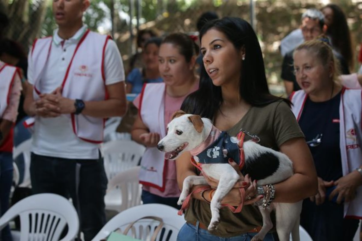 Este jueves 4 de octubre se celebra el 'Día Mundial de los animales'