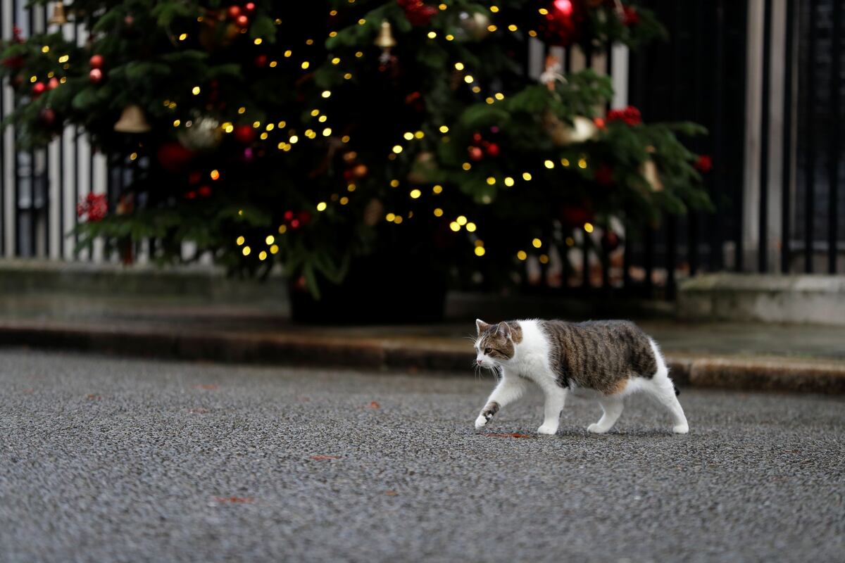 Reino Unido combate contra dos nuevas cepas del virus a ocho días del Brexit