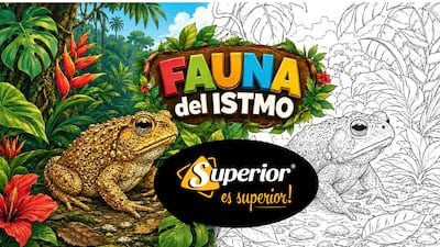 Mi Diario trae la lámina del sapo en ‘Fauna del Istmo’: colorea y aprende sobre este animal panameño
