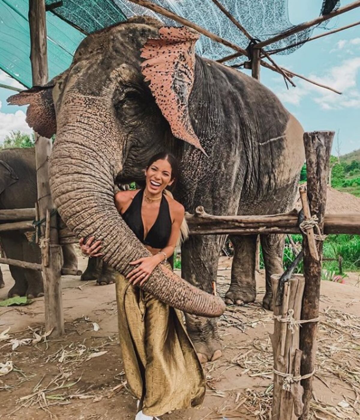 Le dicen ‘zoqueta’ a Delany Precilla