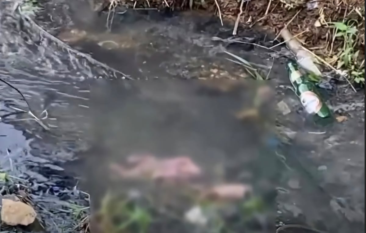 El diablo anda suelto. Hallan un feto en una zanja de Río Alejandro, Colón