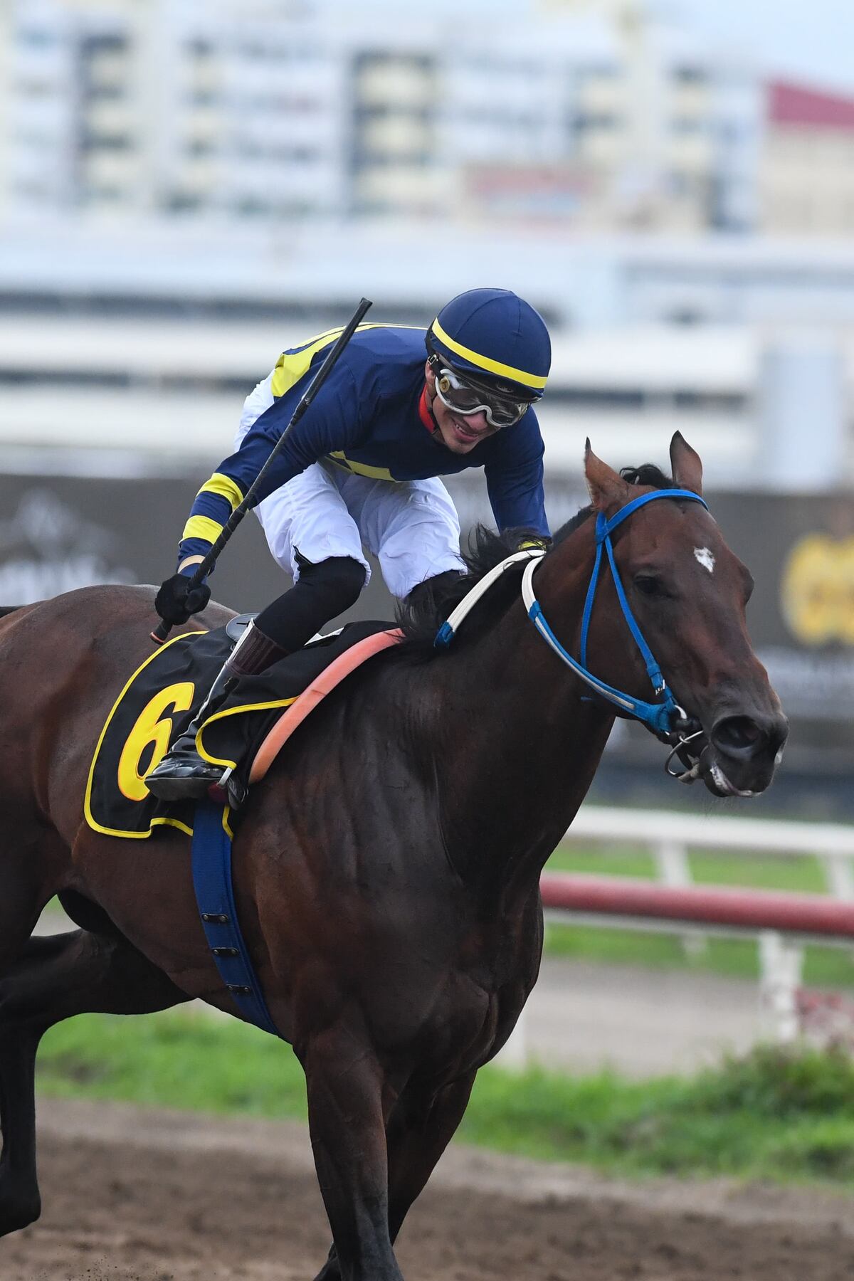 ‘Senescal’ gana el Clásico Presidente de la República