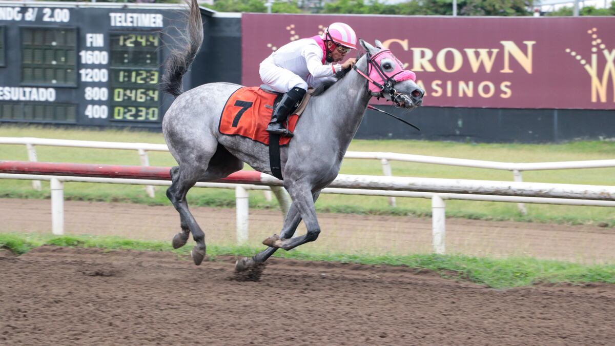 ¡Sorpresa en la pista! ‘Kira’ se roba el show y gana el Premio Policía Nacional