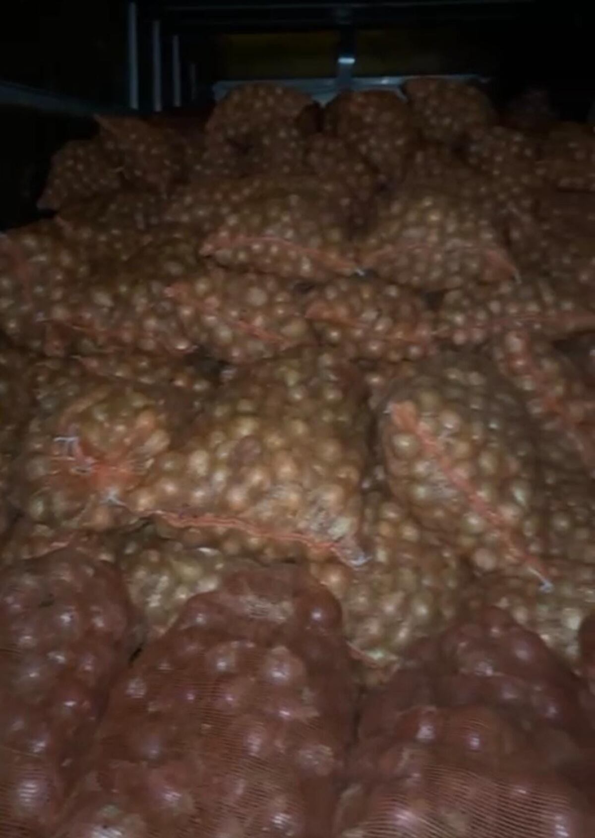 Cebollazo en la frontera: Aduanas frena cargamento irregular en Chiriquí