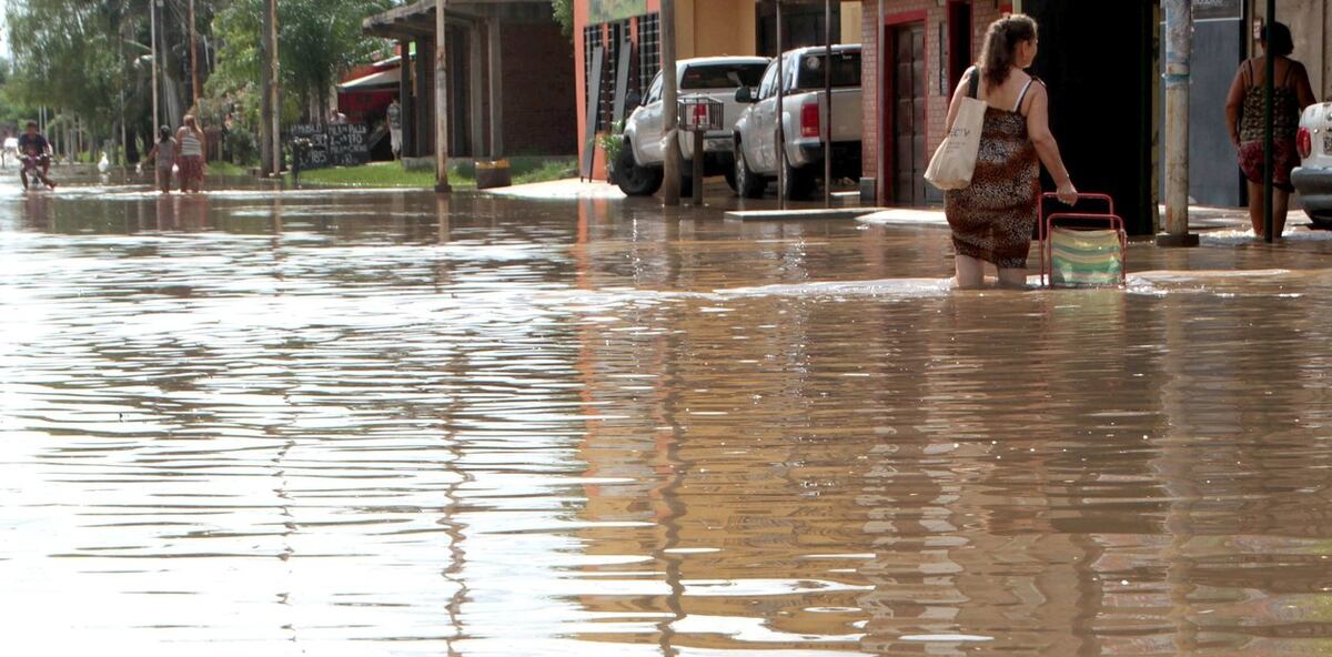 Ganado es arrastrado por una inundación y no pueden salvarlo