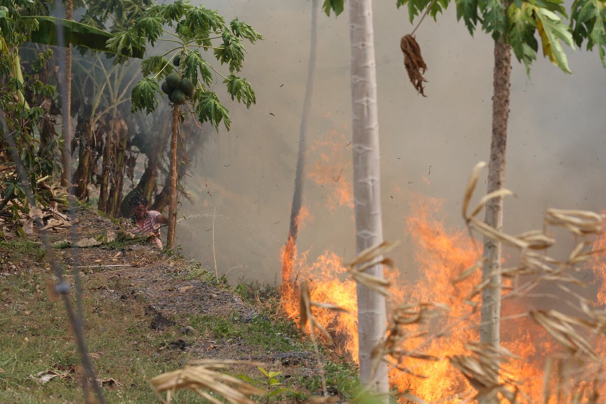 Descuido y dejadez inciden en incremento de incendios de masa vegetal