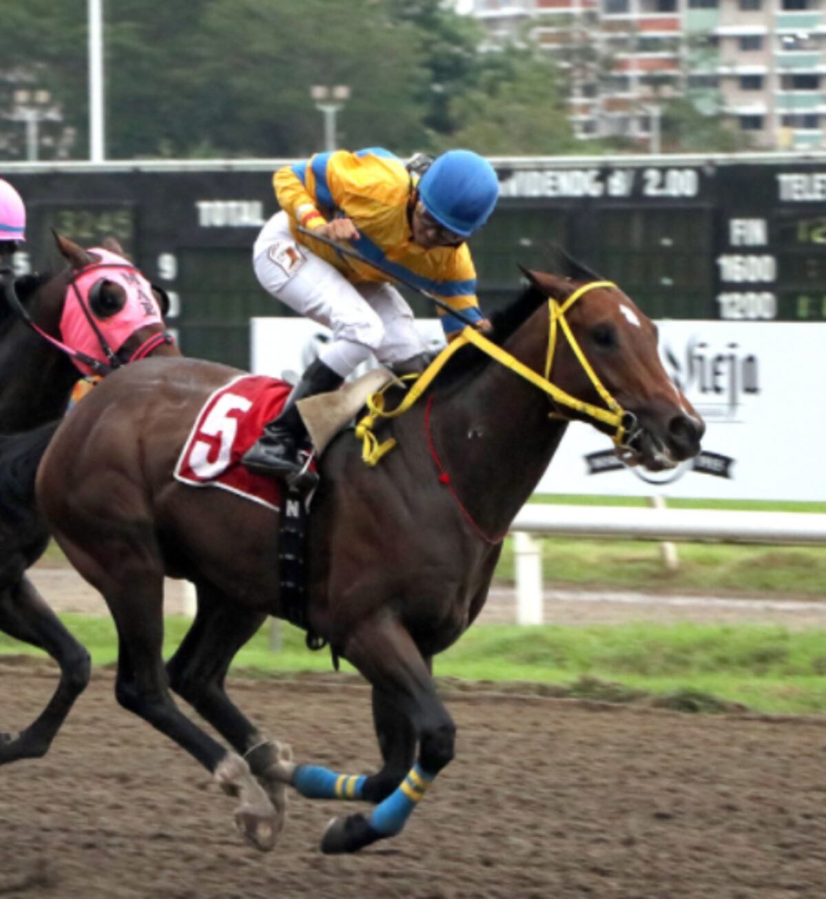 Se sortearon los carriles del Clásico Marco Justine