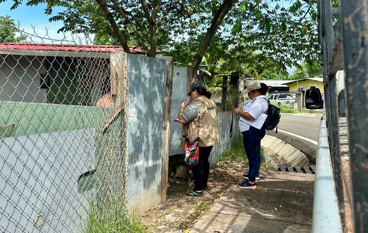 Más de 60 muertes por influenza en Panamá: Aumentan los casos de enfermedades virales en el país