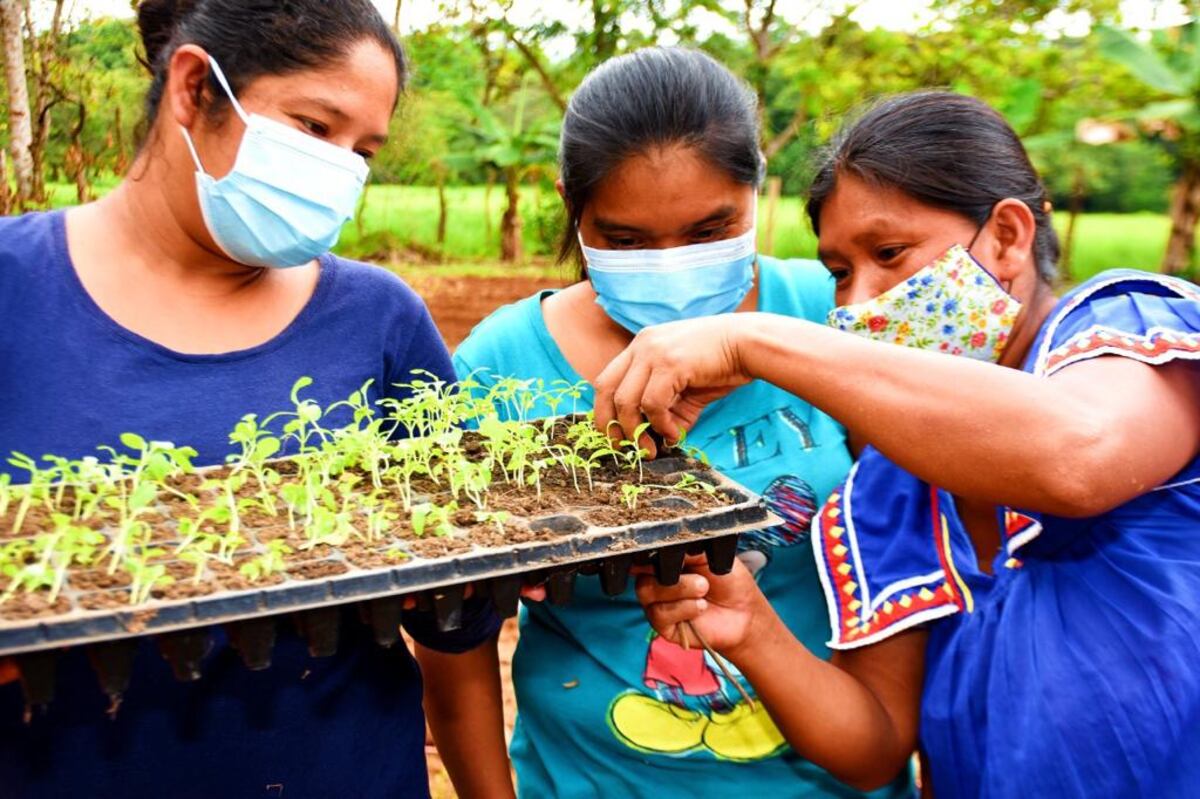 Así son las fechas. Inicia el cuarto pago del programa transferencias monetarias