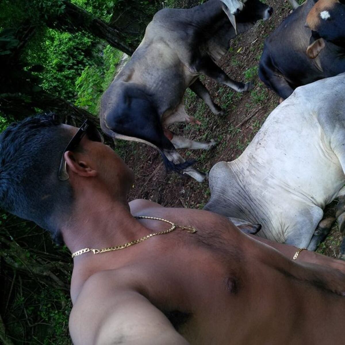 Presunto caníbal aprendió a descuartizar reses como ganadero