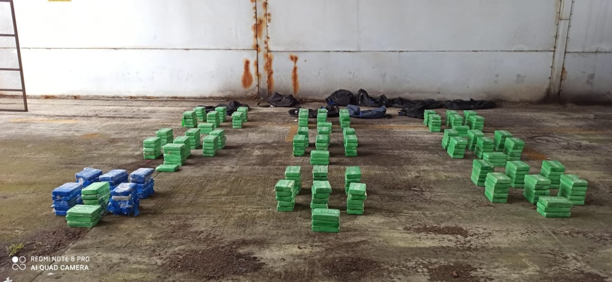 Senan decomisa droga en Colón que tenía como destino final Bélgica