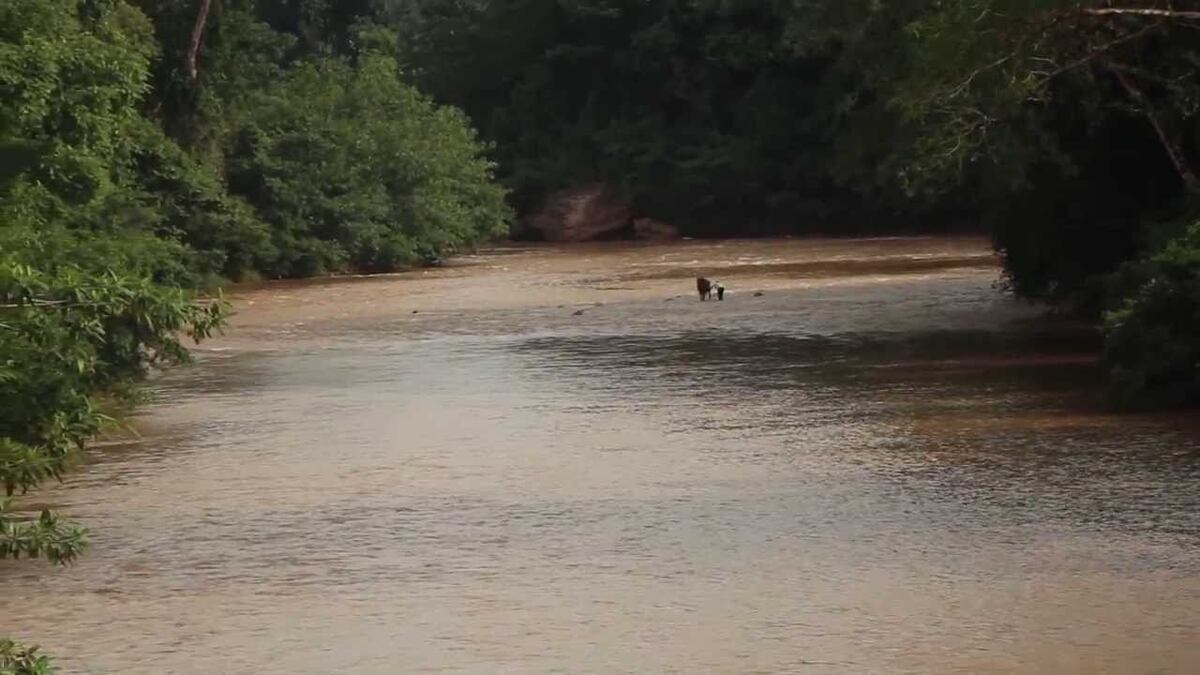 Tragedia en Coclé: Encuentran sin vida a joven arrastrado por el río en Penonomé