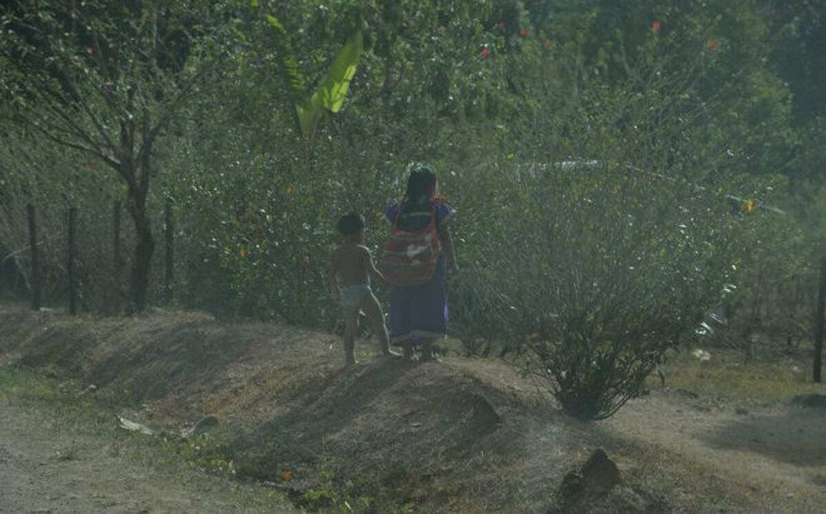 LO ÚLTIMO | Cacique intentó matar a dos personas en comarca Ngäbe-Buglé