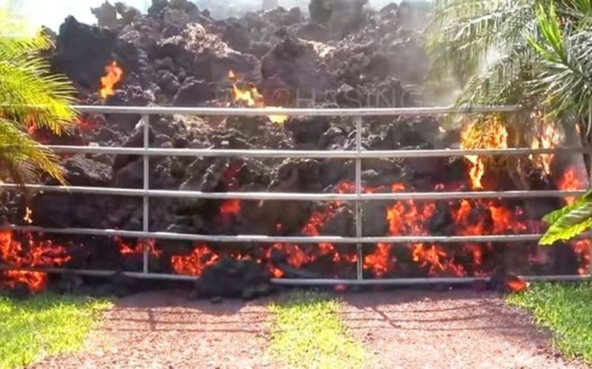 Hombre encuentra lava en su patio trasero al regresar a casa | VIDEO
