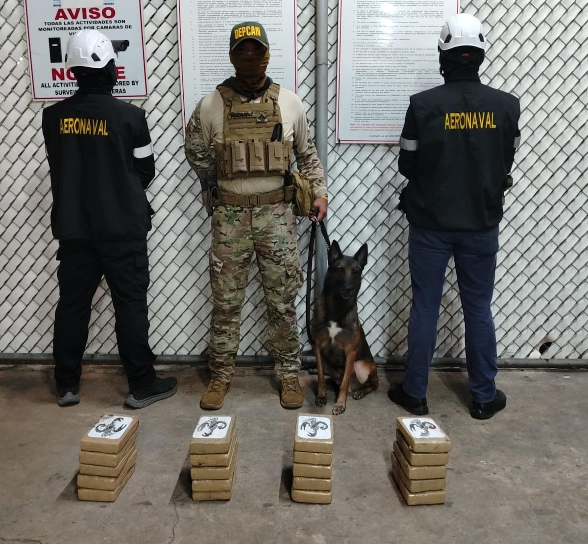 Contenedor ‘cargado’ con droga iba para Europa y lo pillaron en puerto de Colón