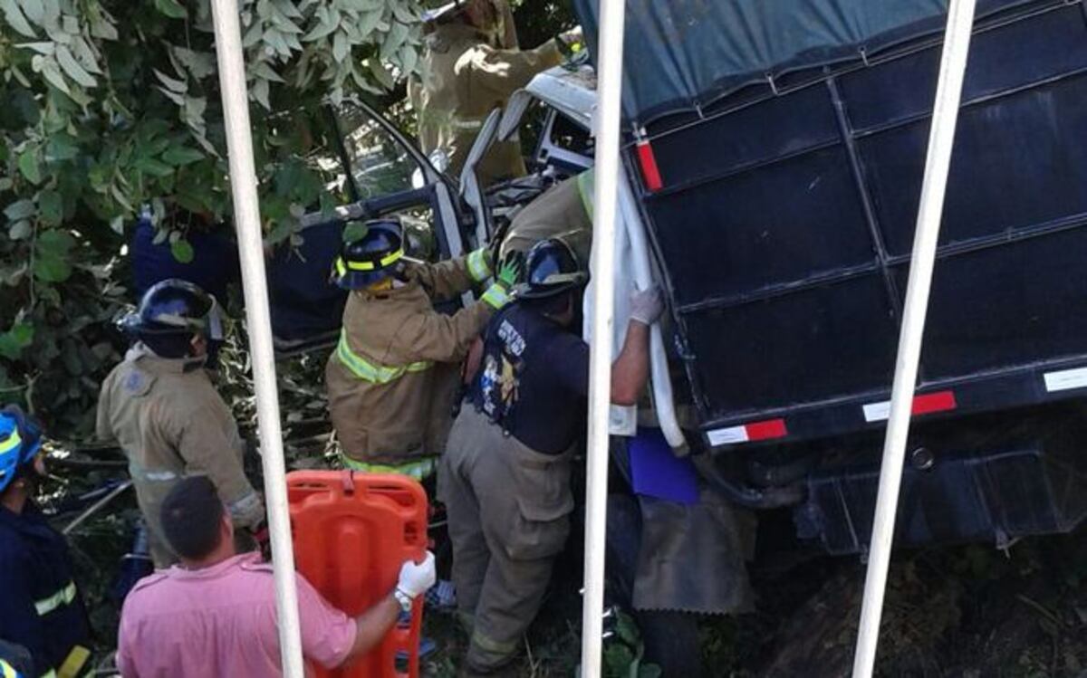 UNA SEÑORA MUERE. Camión de ganado cae al barranco y se estrella con un árbol 