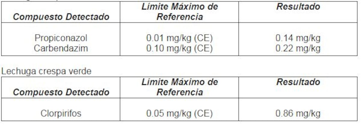 ¡Horror! Retienen lechugas con residuos de plaguicidas 