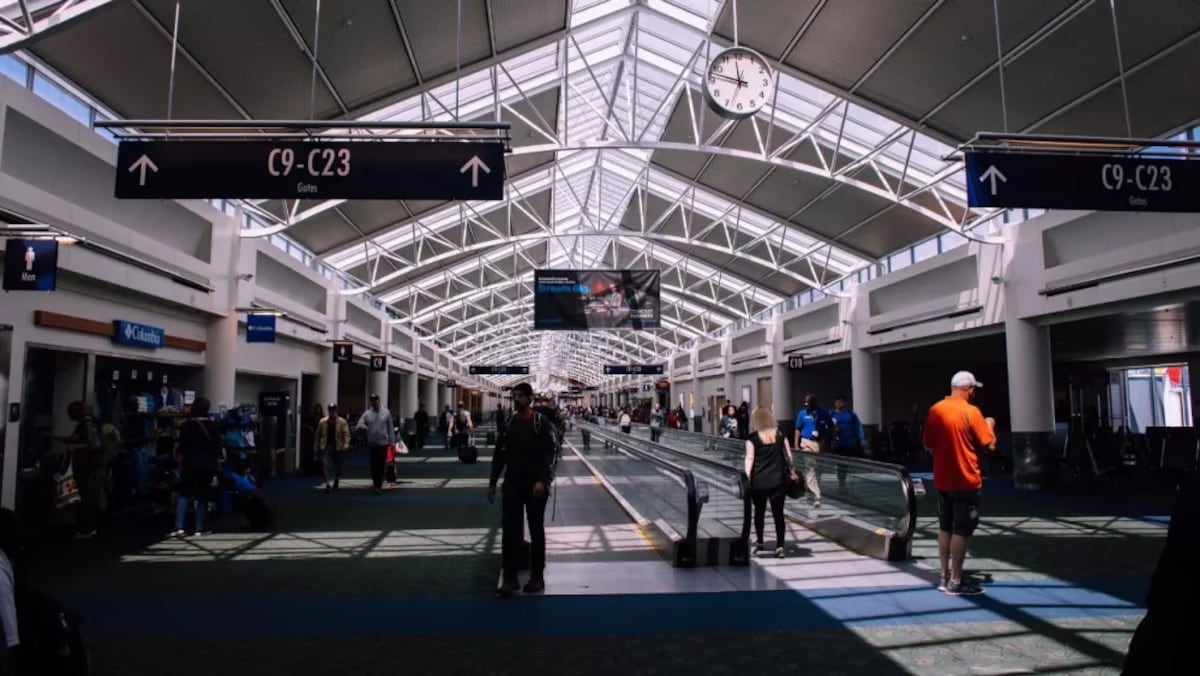 Atrapan en aeropuerto a mujer que llevaba en el equipaje una anaconda y más de 70 reptiles