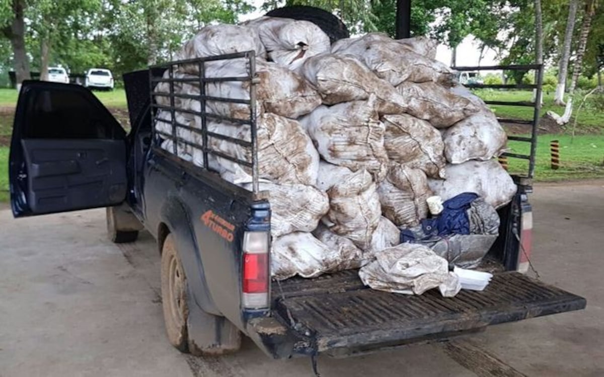 Pagará siete años de prisión por traficar droga en Darién