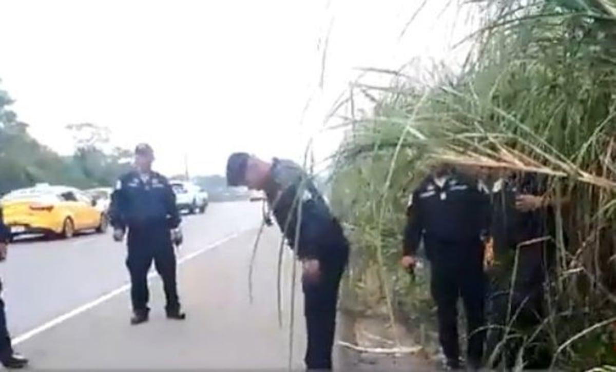 Policías y ladrones. Persecución en autopista Arraiján - La Chorrera