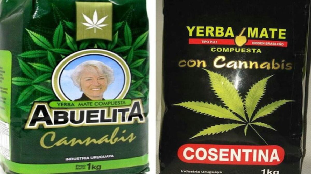 Ministerio de Salud Pública de Uruguay autorizó venta de yerba mate con cannabis