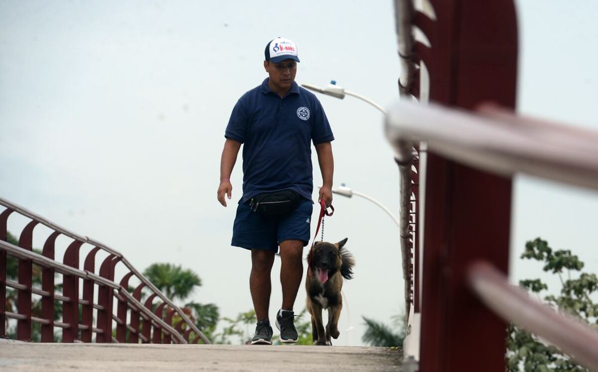 ¿SON FAMILIA? Mira cuántos latinos creen que los perros son uno más en la casa