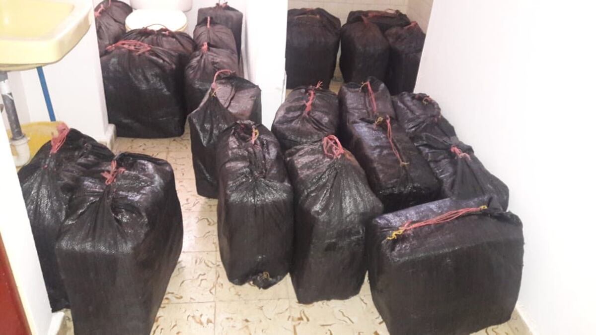 Incautan unos 600 paquetes de drogas en un baño en residencia de Chame