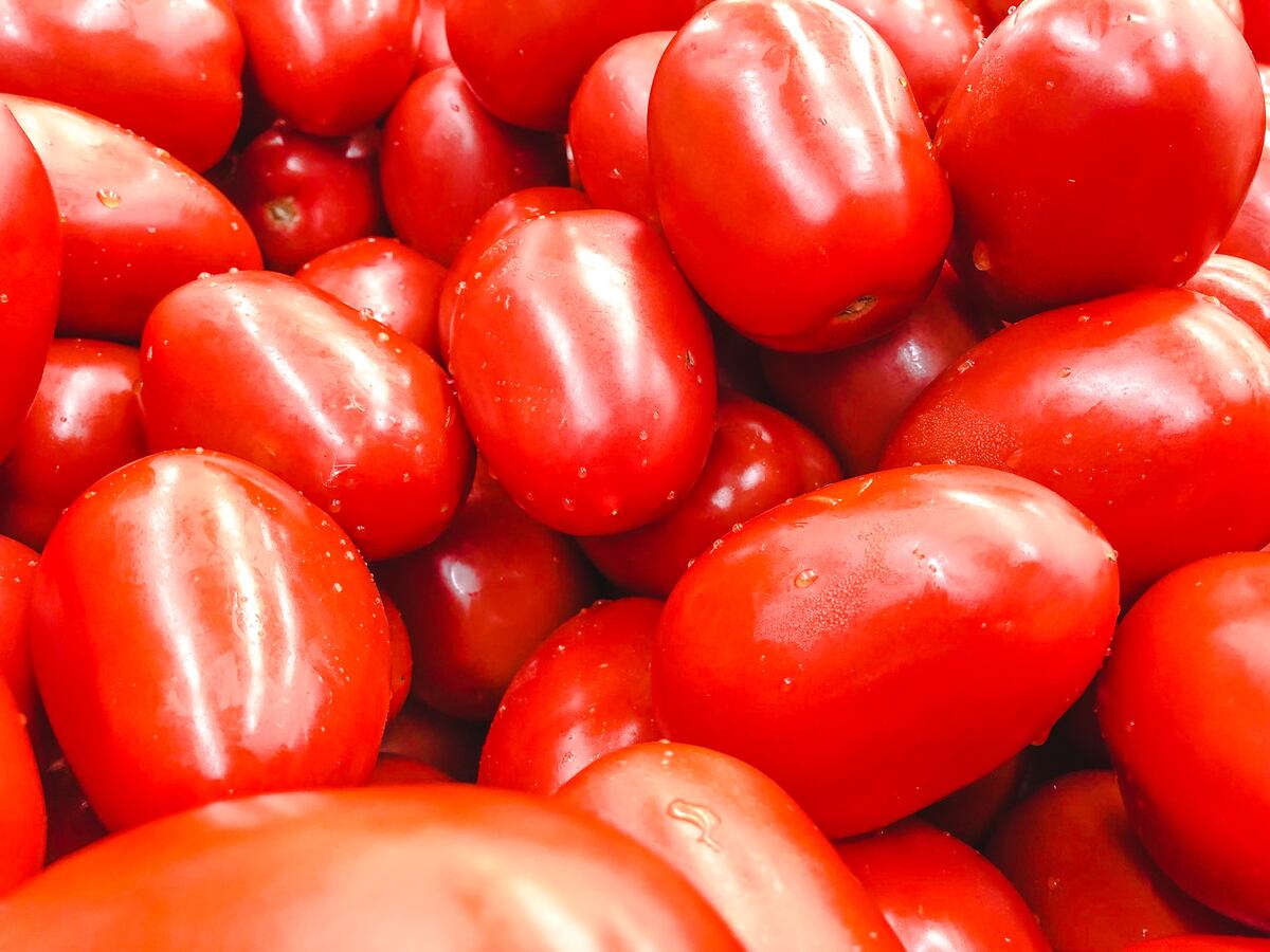 Incautan tomates ticos en Chiriquí y sin registros sanitario